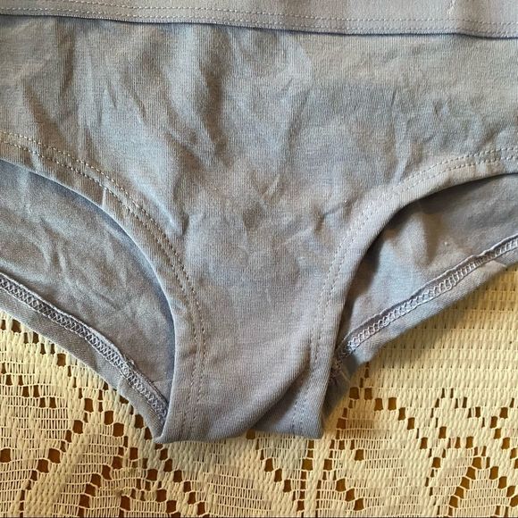 VS Pink • Lavender Logo Band Hipster Panty - Picture 4 of 8